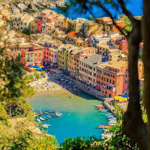 حمیدرضا عشق لاشی